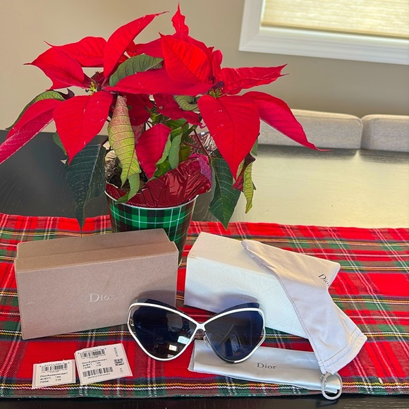 Authentic Dior Audacieuse 1 Sunglasses - Picture 1 of 13